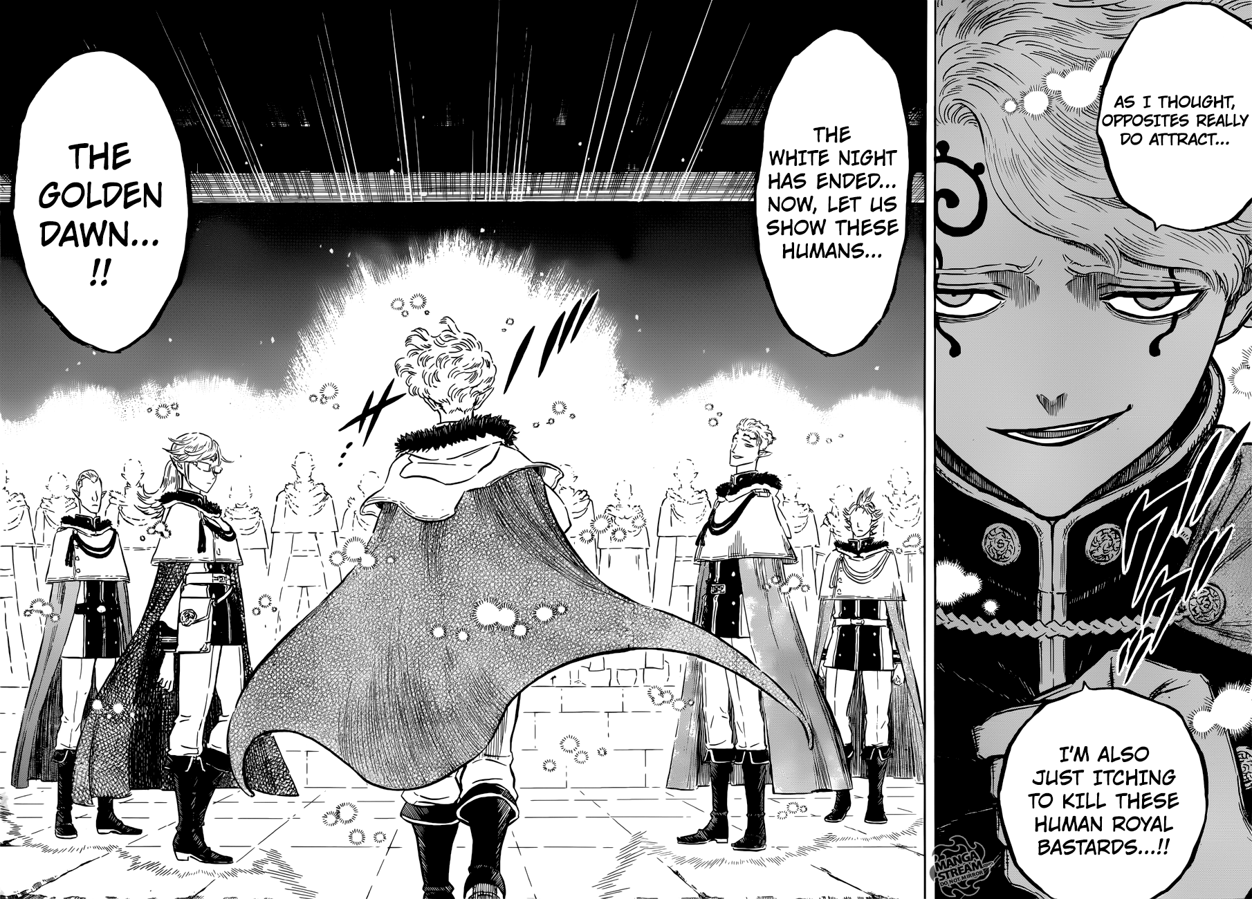Black Clover chapter 172 image 13